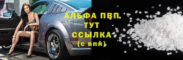 spice Бородино