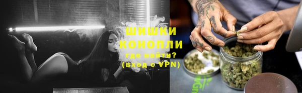 spice Бородино