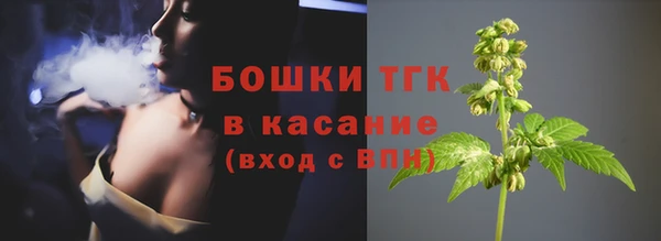 spice Бородино