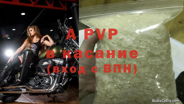 spice Бородино