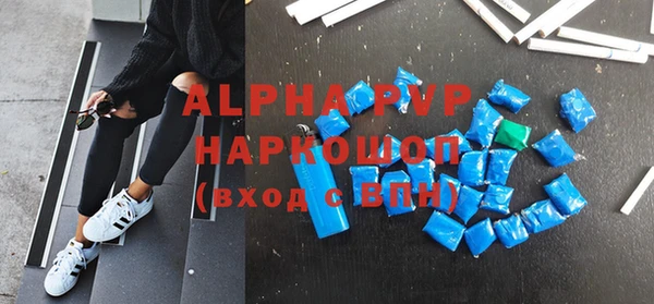 spice Бородино