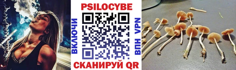 Псилоцибиновые грибы ЛСД  наркота  МЕГА сайт  Губаха 